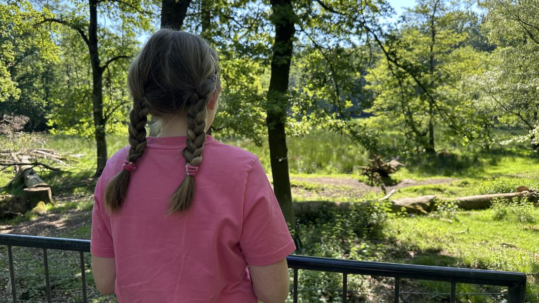 Zwischen Comic-Helden, Spielplatzspaß und Wildtieren – Ein Familienausflug in Troisdorf © Anna Oberste